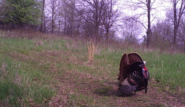 Rescued Wood Bunkhouse-Sleeps 8 hunters. Full kitchen and bath. Lots of parking.