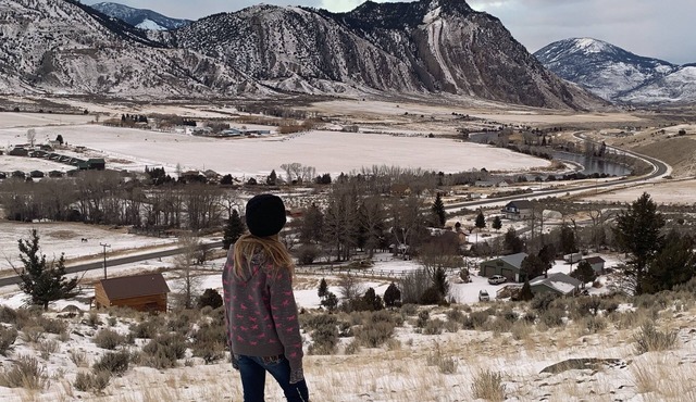 Reserve 2, or all 4 cabins on this 13 acre horse ranch 5 mins from Yellowstone