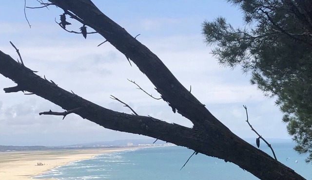 Residence la palmeraie Swimming pool & SPA for 4 people BALI