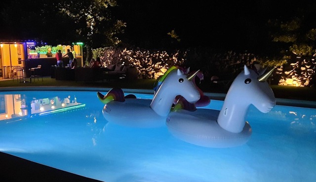 RESIDENCE LE PARADISE ACQUIRED "GITE AMETHISTE