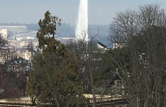 Residence Luxurious Genève