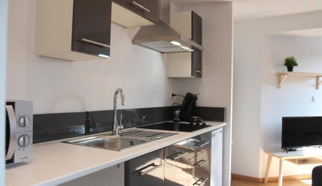 RESIDENCE MILA - 5 - HYPER CENTER - TRAMWAY