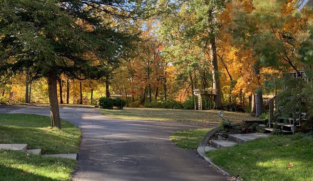 Residential neighborhood adjacent to park.