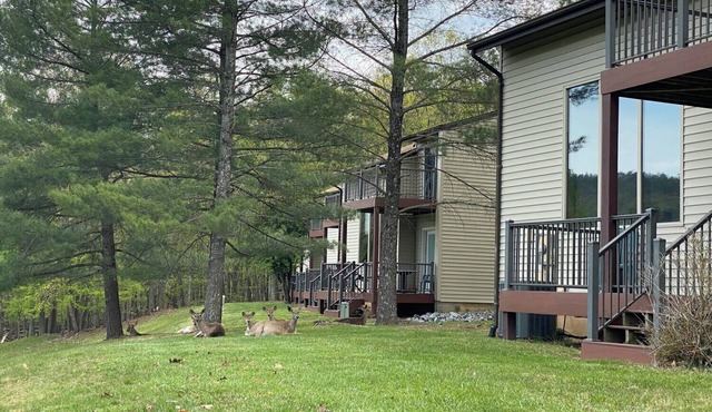 Resort 2-bedroom townhome in peaceful McGaheysville on golf course.