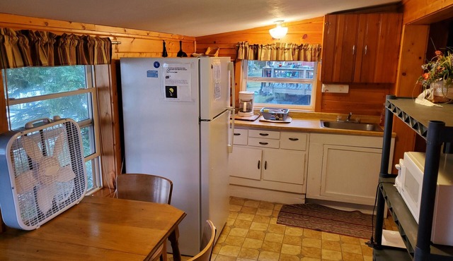 Resort Cabin on Island Lake #3