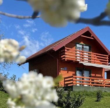 Resort Dudukovic 1