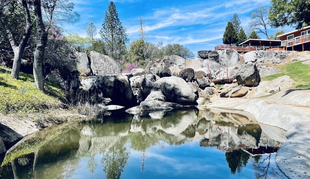 RESORT FEEL ! POOL, WATERFALL, POND, TREEHOUSE, PIRATE SHIP, HIKING TRAILS