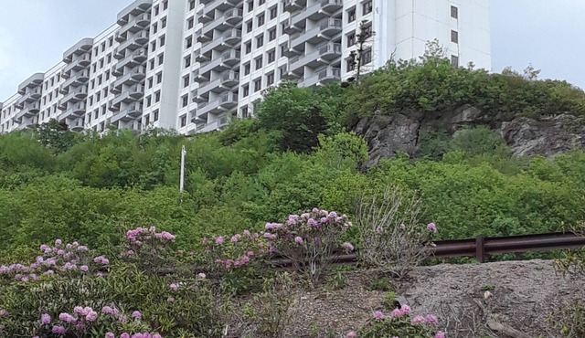 Resort Rental Property