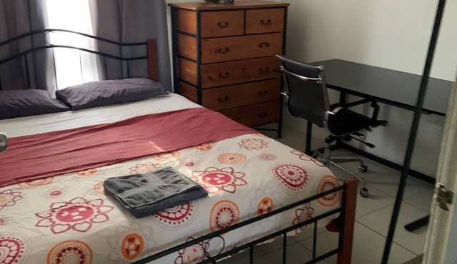 Resort style back yard