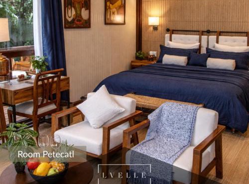 Resort Tropical Wellness en Morelos