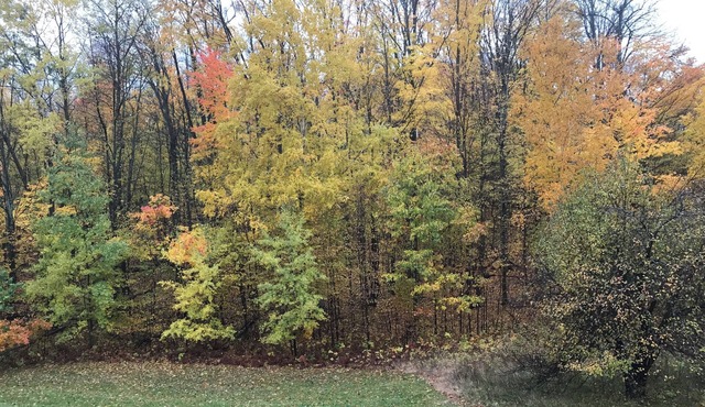 Resort with 1 bedroom, AC & fireplace in phenomenal Boyne Falls
