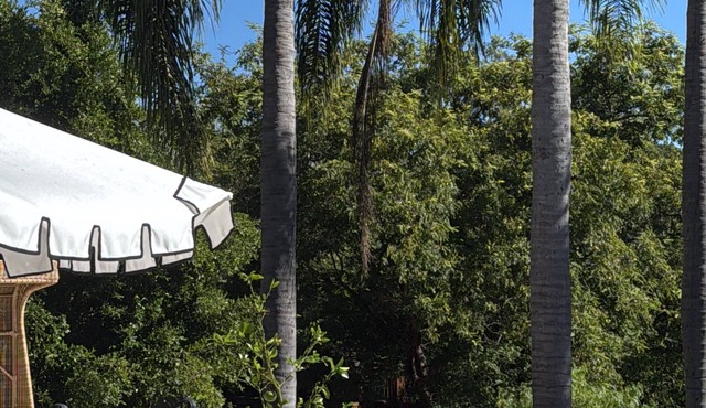 Resort with tennis, volleyball and soccer court, sauna and much fun areas