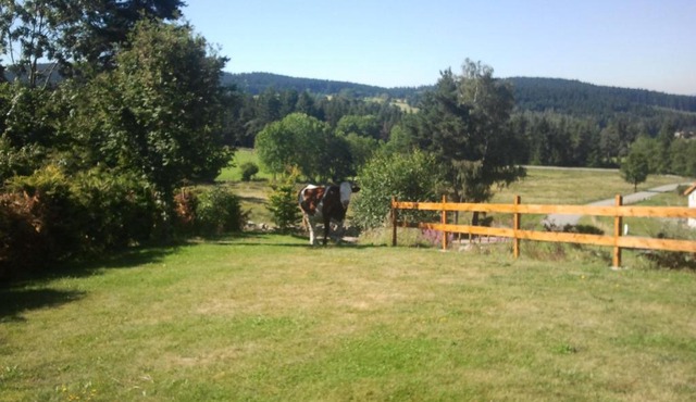 Ressourcez vous en pleine nature!