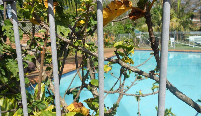 Rest and relax in the garden