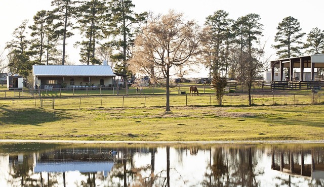 Rest + Restore. Family-friendly ranch getaway, including fur babies!nn