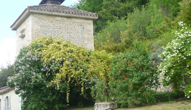 Rest & tranquility for 9 or 13 people
