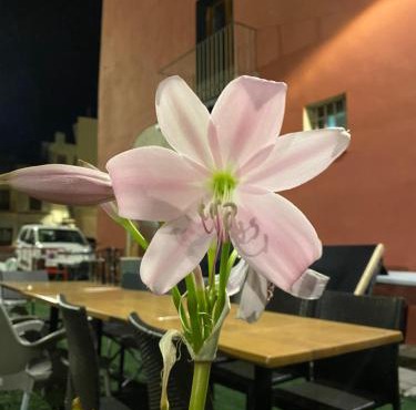 Restaurant & Rooms Cabrit