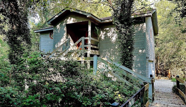 Restful cabin in charming Covington