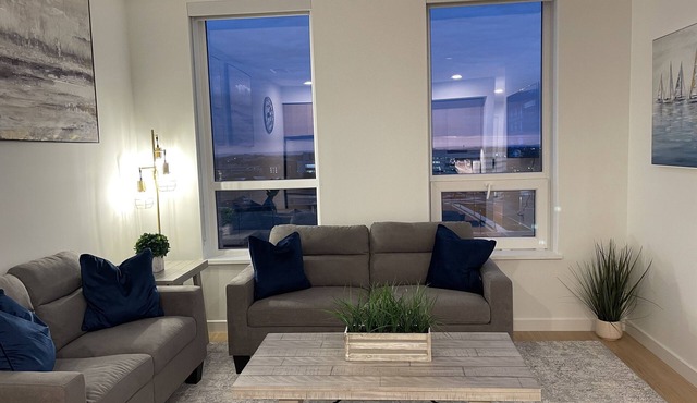 Reston Metro Apartment - Home Office off Silver Line