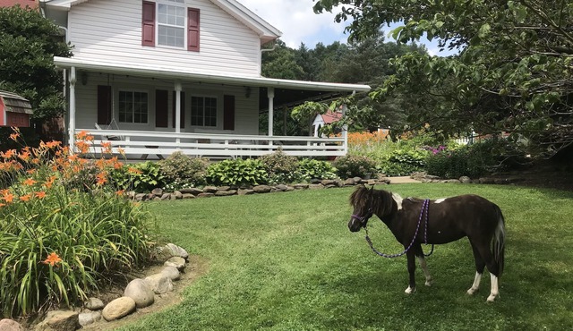 Restored Historical Farmhouse With Pond And Farm Animals At Mohican State Park