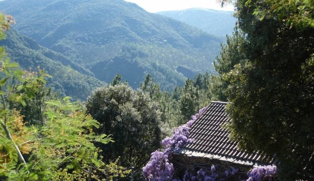 Restored sheepfold in the Cévennes