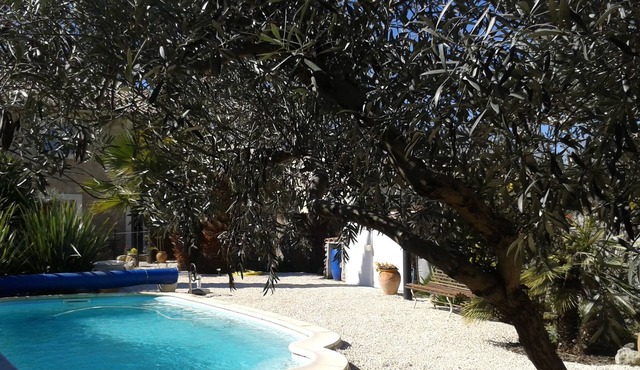 Restored sheepfold with garden and swimming pool