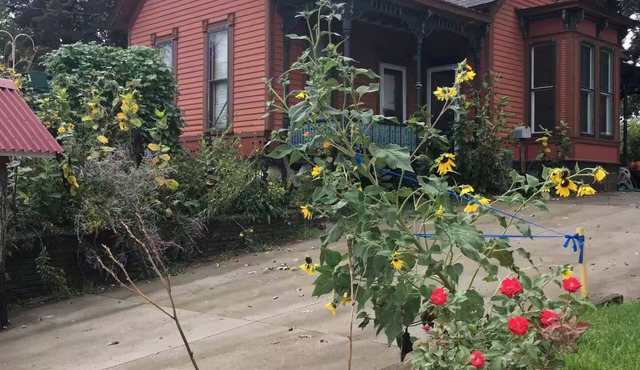 Restored Victorian, Walk & Bike