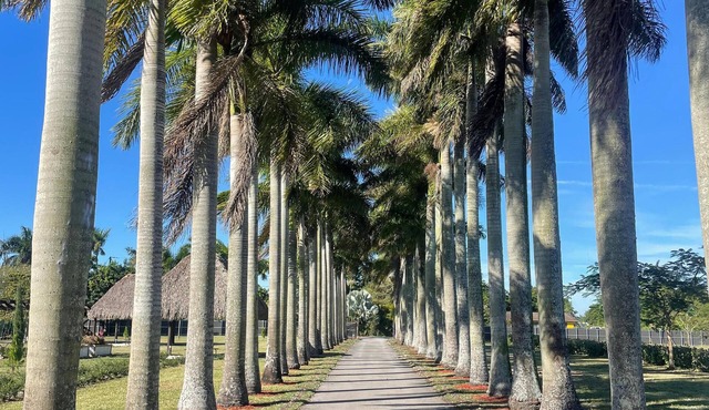 Retiro wellness privado en Miami - Naturaleza, descanso y conexión