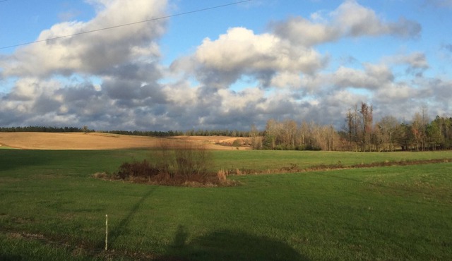 RETREAT 15 mins to Arch-$50 Uber card- w pool & hot tub