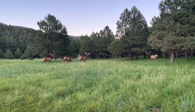 Retreat at Saviour Trail, New Mexico for your Reunion or Family get away