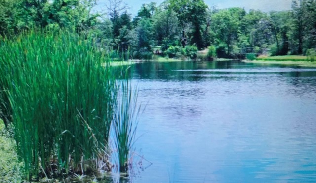 Retreat Center, sleeps 60, with 20 people minimum - 50 a day, per person