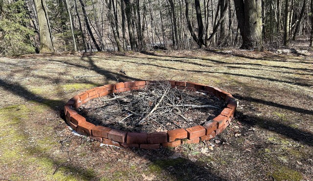 Retreat from Modern Life - Off Grid Cozy Cabin in the Woods on 20 Acres of Land