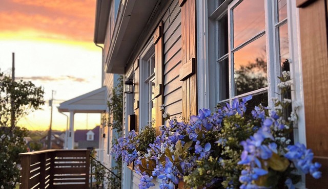 Retreat in Historic Downtown Leesburg - Walkable to Everything!nn