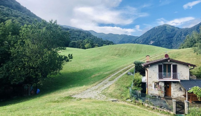 Retreat in nature:relax, walks, MT trails from the house, fireplace, WIFI