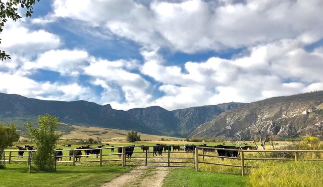 Retreat in Quiet Comfort nestled in at the base of the Big Horn Mountains