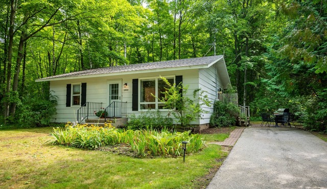Retreat on a wooded lot within walking distance of downtown!