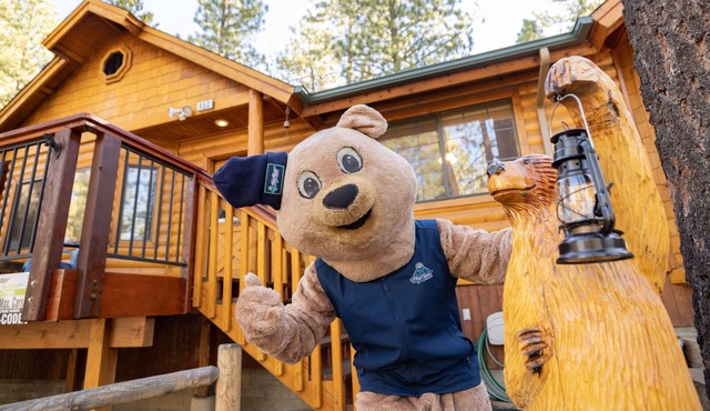 Retreat To Fox Farm Central Log Cabin Chalet at Big Bear