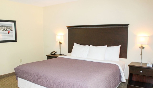 Retreat to the Tranquil Glacier Suite on Kelleys Island 227