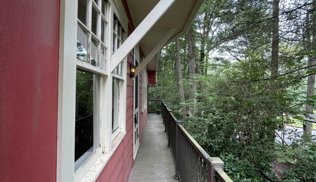Retreat to the Trees! Stroll to Dining, Shows