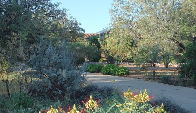 Retreat to Wiggle Your Toes – A Private Healing Villa and Zen Escape