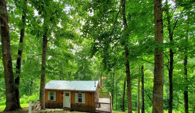 Retreat to Your Private Haven in the Trees