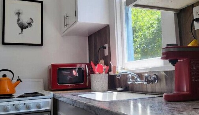 Retro Cabin in the Redwoods - remote location close to hiking and the river