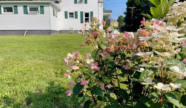 Retro-Chic Mid-Century Home w/AC – 8 Min Drive to All Star Village & Downtown