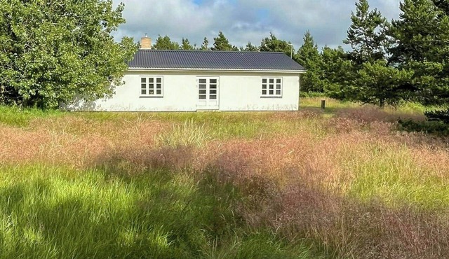 Retro holiday home by Thy National Park