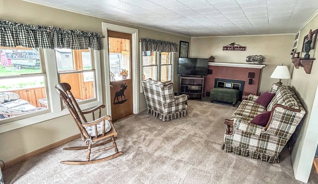 Retro Moose Cottage - Home in Lake City