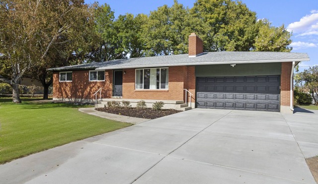 Retro Retreat Newly Renovated in SoJo
