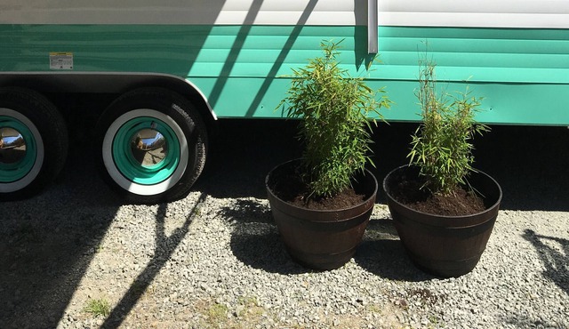 Retro Trailer on the farm