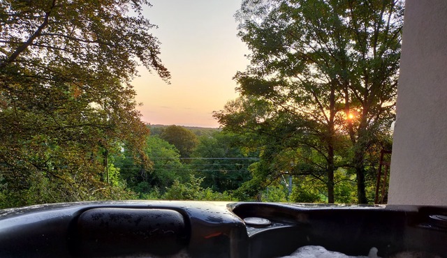 Reve de panda heberegemnt face a la nature