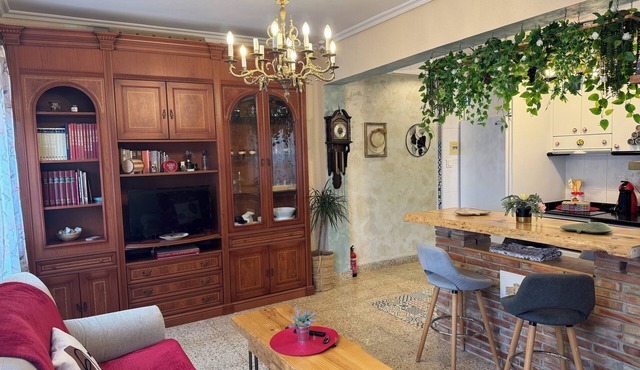 REVELIN WALLS -OLD TOWN -entire apartment-