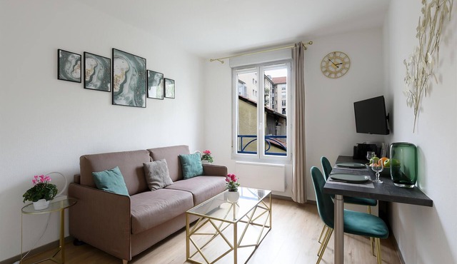 Rhône riverbank, Lyon center, Lyon 2/Lyon 3 University, parking, all on foot!